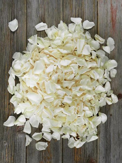 360 GRAMS WHITE ROSES PETALS